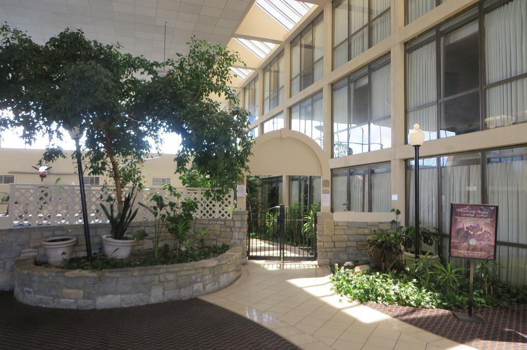Hotel Days By Wyndham Airport 3*